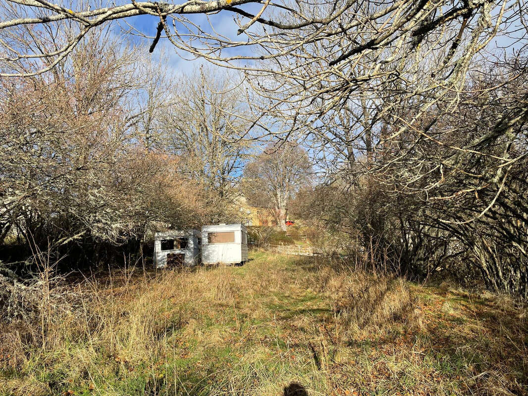 Terrain à GRANDRIEU