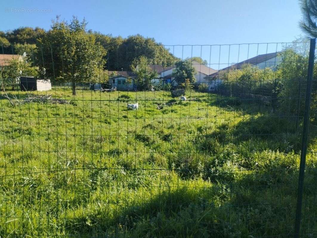 Photo 2 - Terrain à BRAUD-ET-SAINT-LOUIS