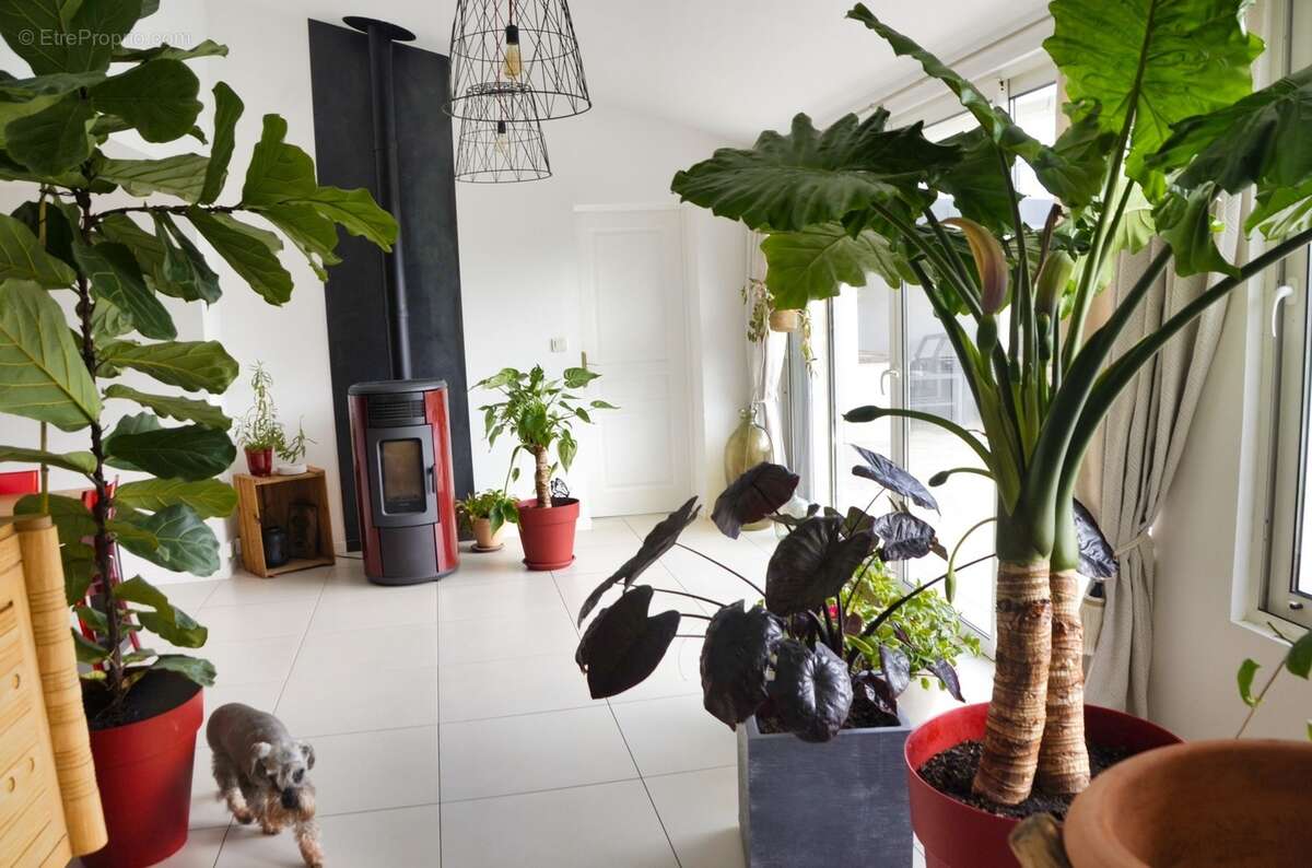 Maison à vendre 8 pièces LE GUE D'ALLERE (17) - photo 41
