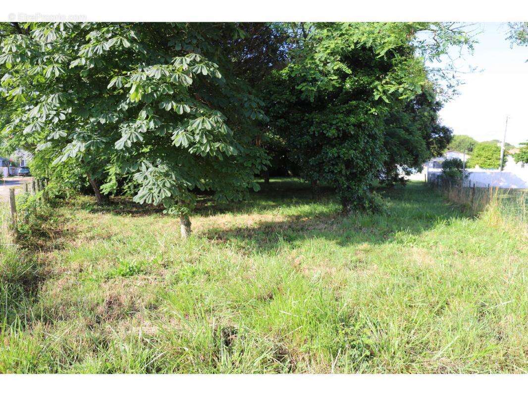 Terrain à SAINT-GEORGES-D'OLERON