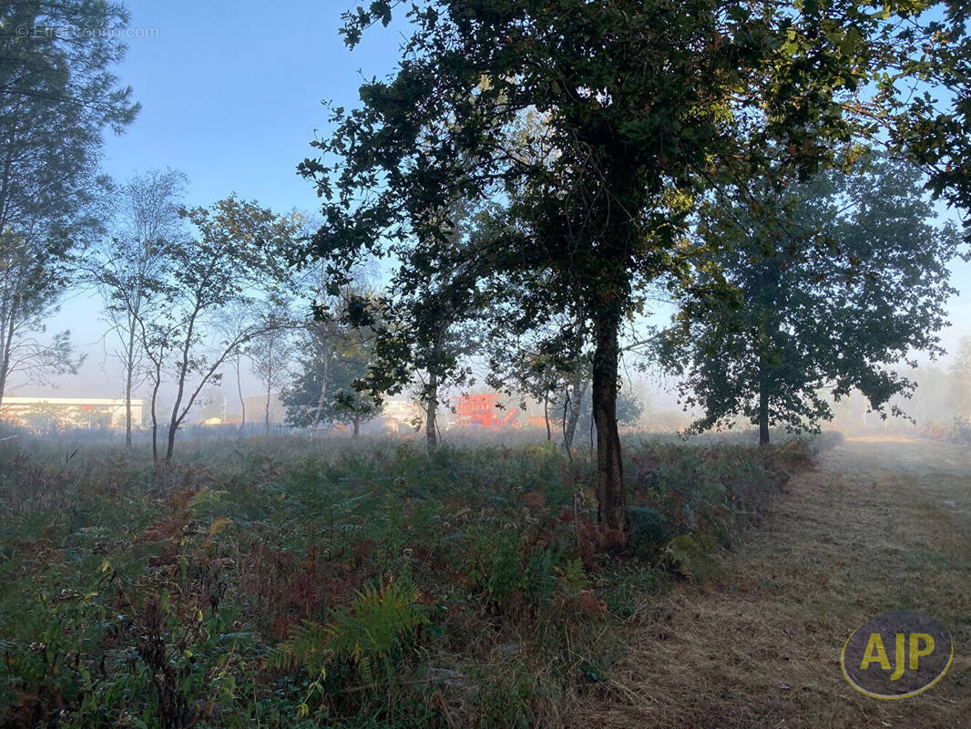 Terrain à CISSAC-MEDOC