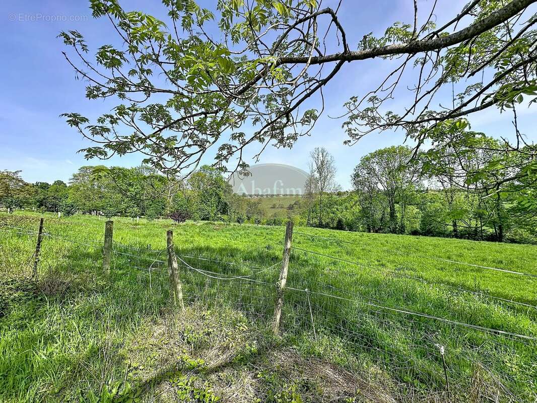 Maison 90 m² à Montrejeau  - photo 2