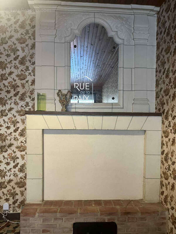 Maison à LA ROCHE-POSAY