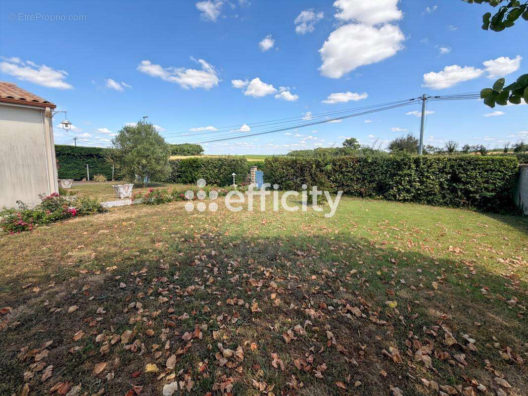 Maison 120 m² à Mazerolles  - photo 16