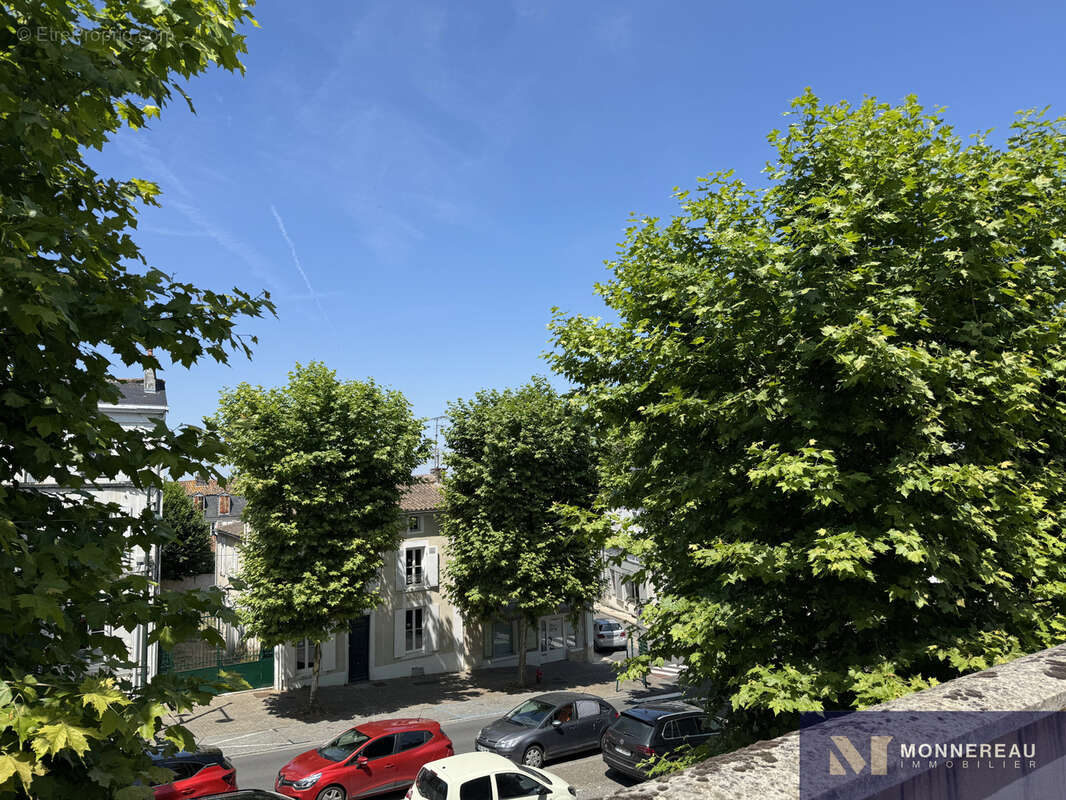 Ensemble immobilier avec local commercial et logement avec jardin - photo 18