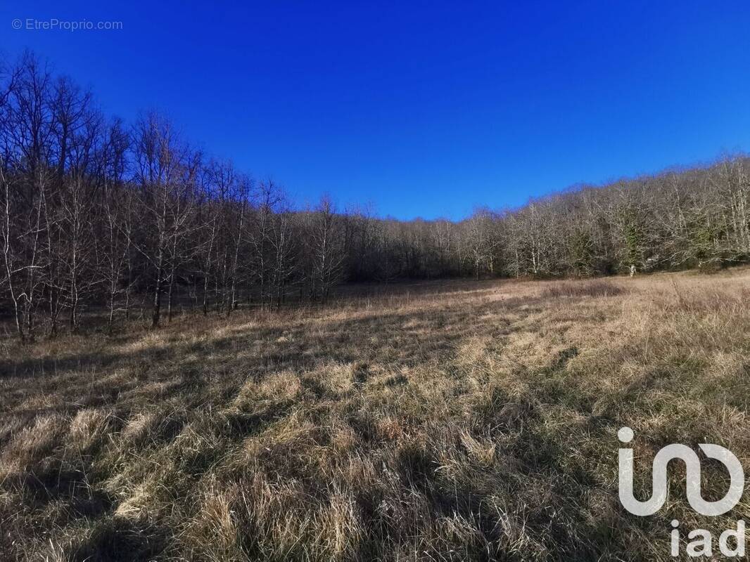 Photo 1 - Terrain à CAZALS