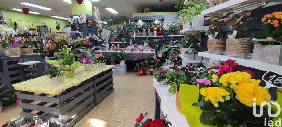 Photo 7 - Commerce à SAINT-PIERRE-D&#039;ALBIGNY