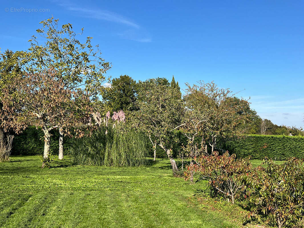 Maison à CHAPELLE-VIVIERS