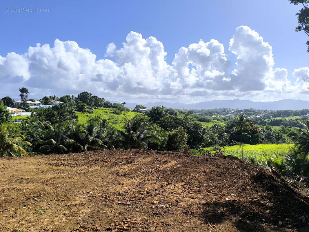 Terrain à BAIE-MAHAULT