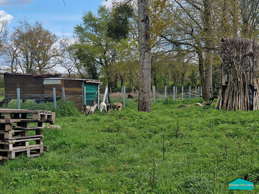 Terrain à SAINT-PHILBERT-DE-GRAND-LIEU
