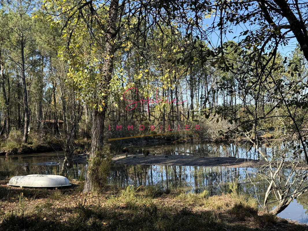 À 30 minutes de Bordeaux et 45 minutes d’Arcachon, domaine avec 2 étangs sur 15 hectares - photo 13