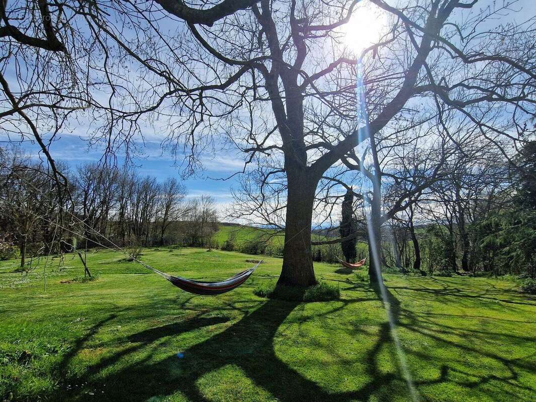 Propriété avec piscine sur environ 1,5 Ha de terrain - photo 8
