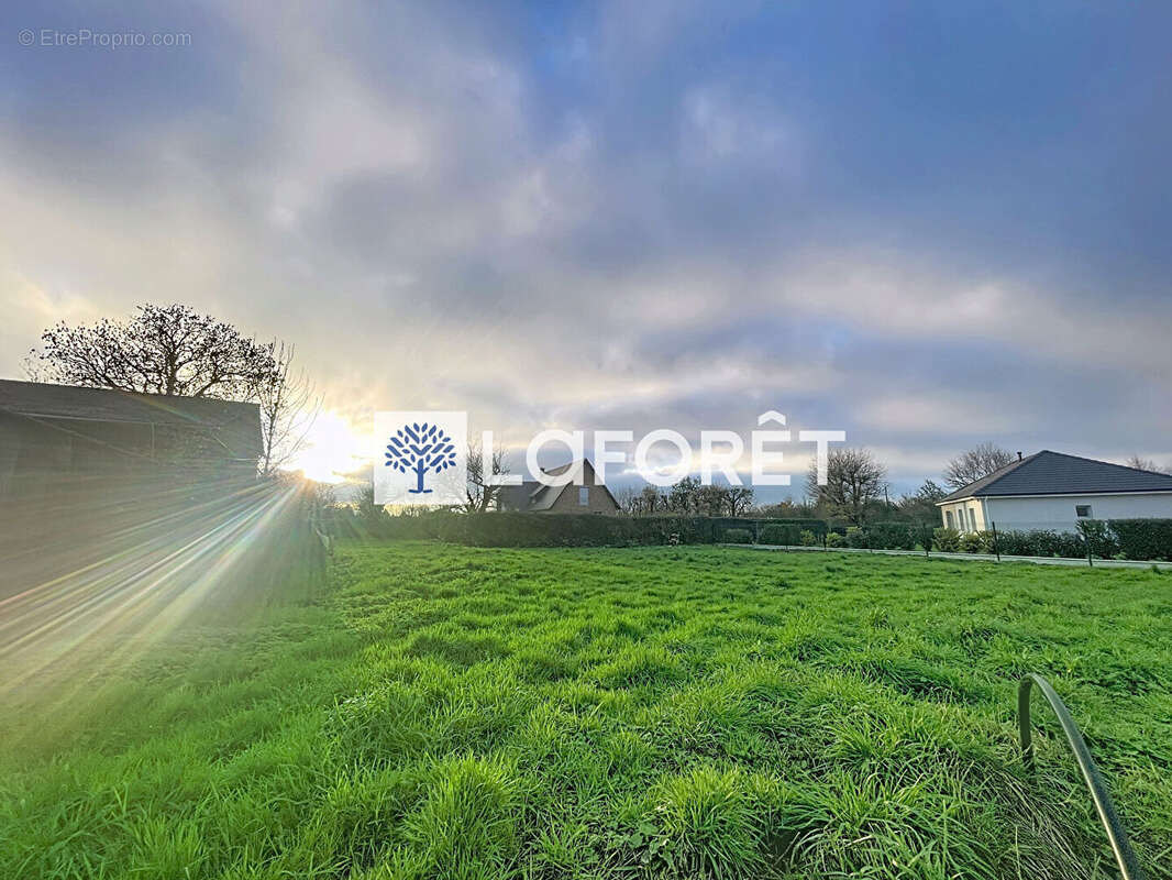 Terrain à BUCHY
