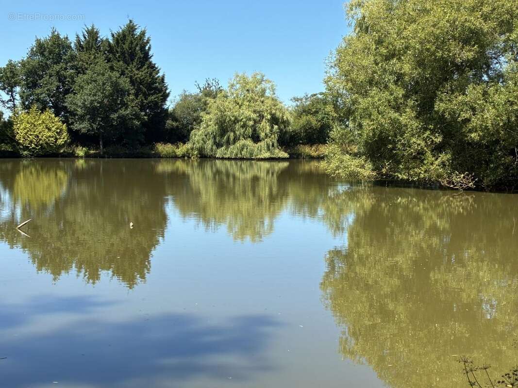 Terrain à LA BAZOUGE-DES-ALLEUX