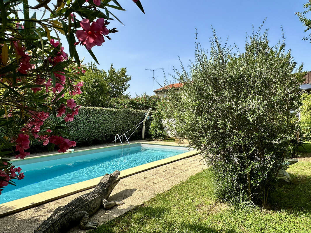Maison à ALBI