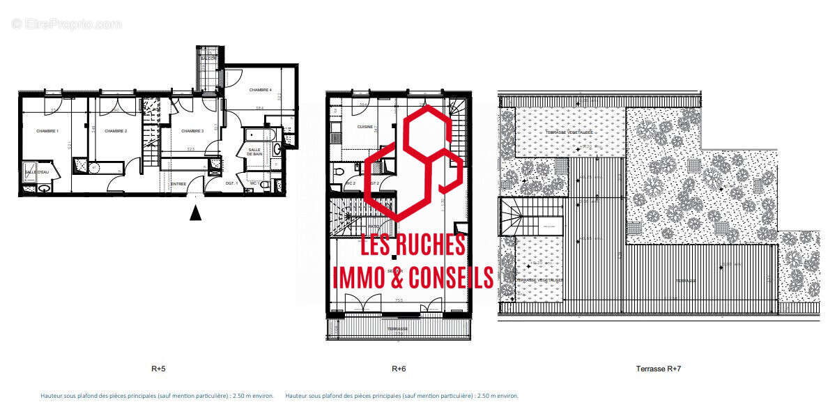Appartement à PARIS-18E