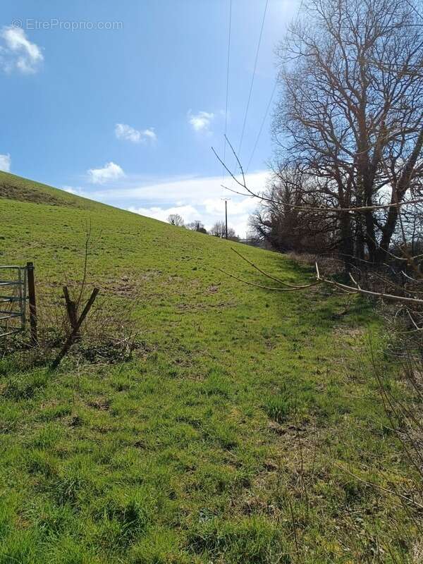 Terrain agricole sur 6 hectares, bois, source, compteur d'eau, clos, abri animaux, chevaux - photo 9