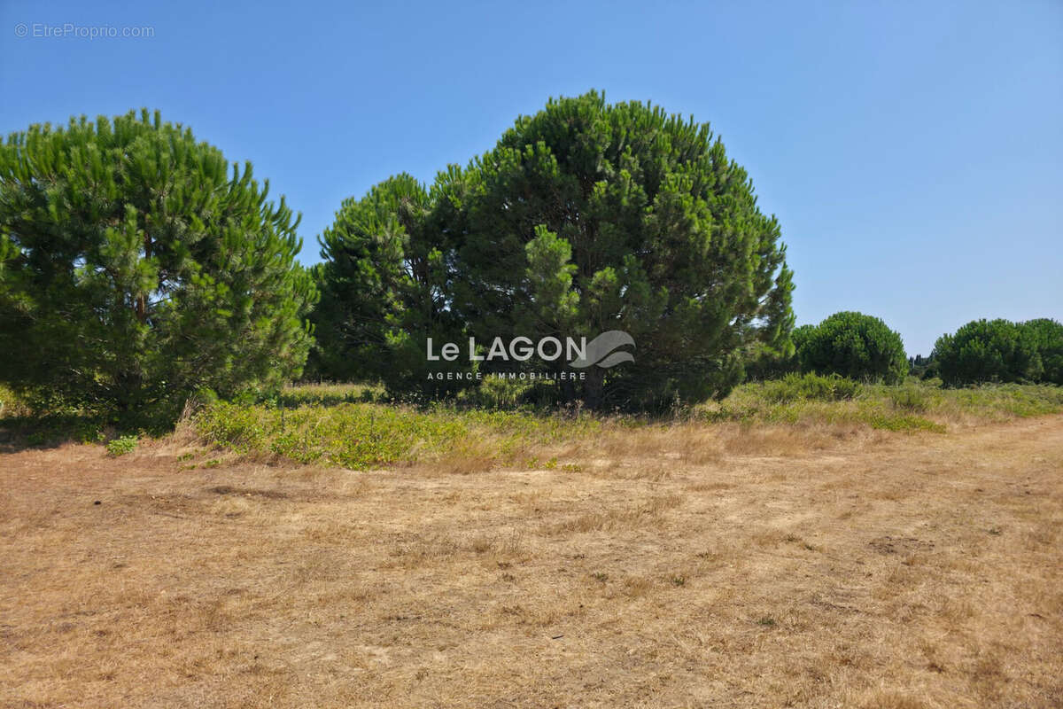Terrain 506 m² à Latour-Bas-Elne  - photo 2