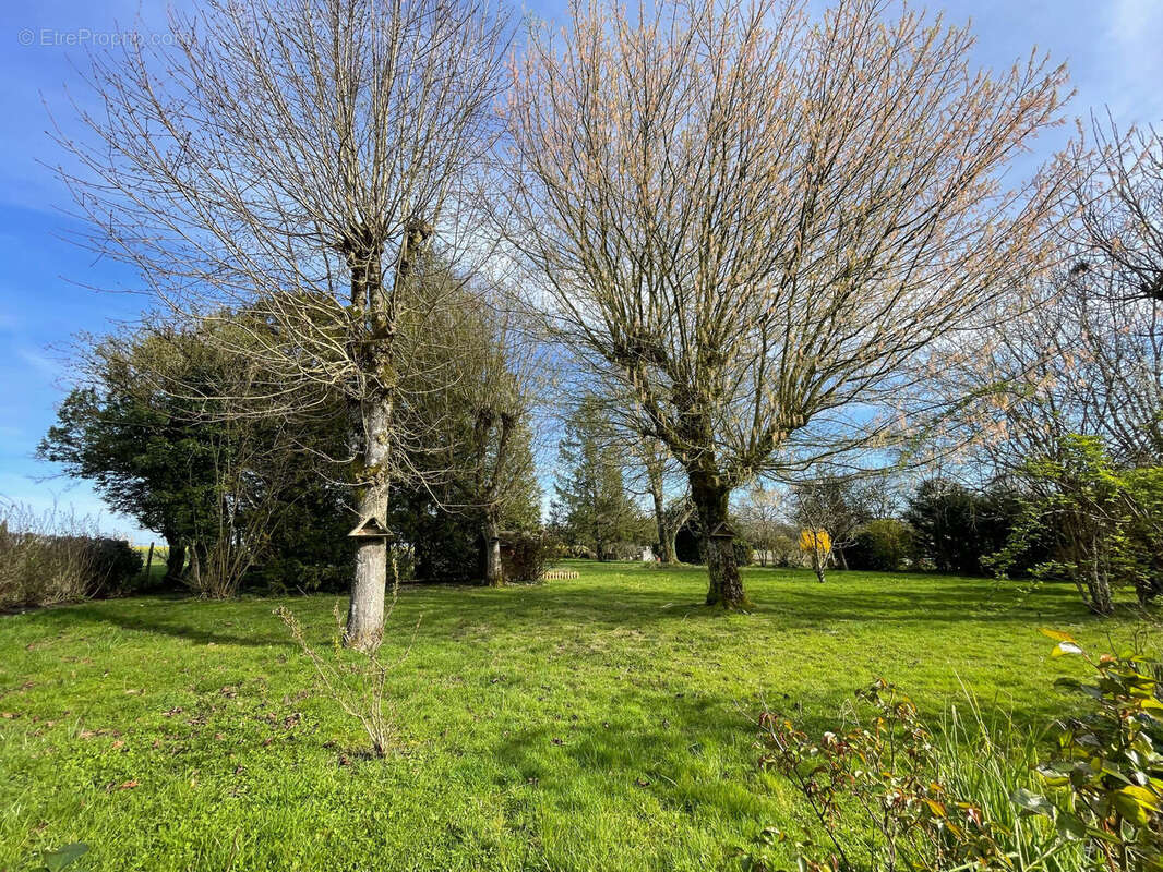 Photo 6 - Maison à SAINT-MARTIN-DU-BOSCHET