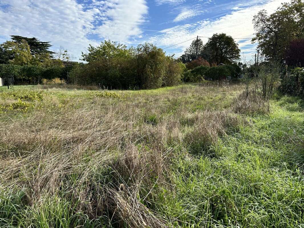 Terrain à AMBARES-ET-LAGRAVE