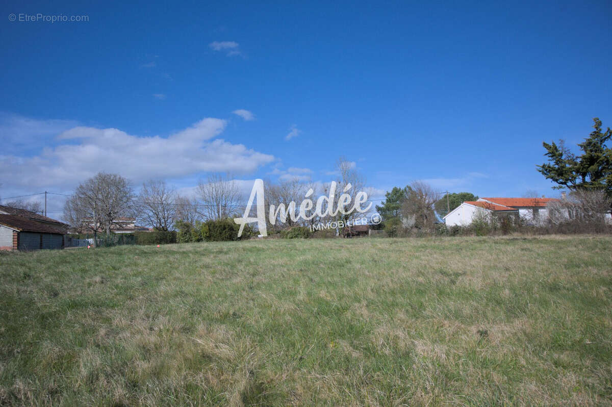 Terrain à MONTAUBAN