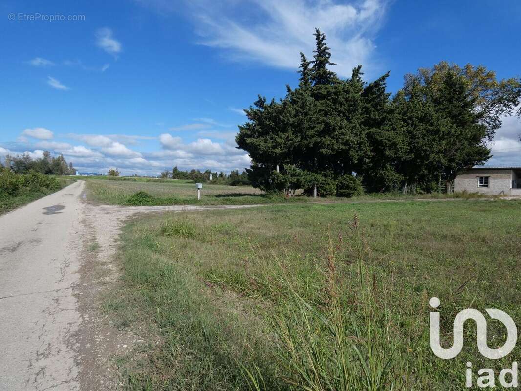 Photo 4 - Maison à BOLLENE