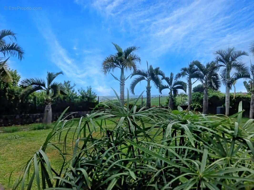 Appartement à SAINT-LOUIS