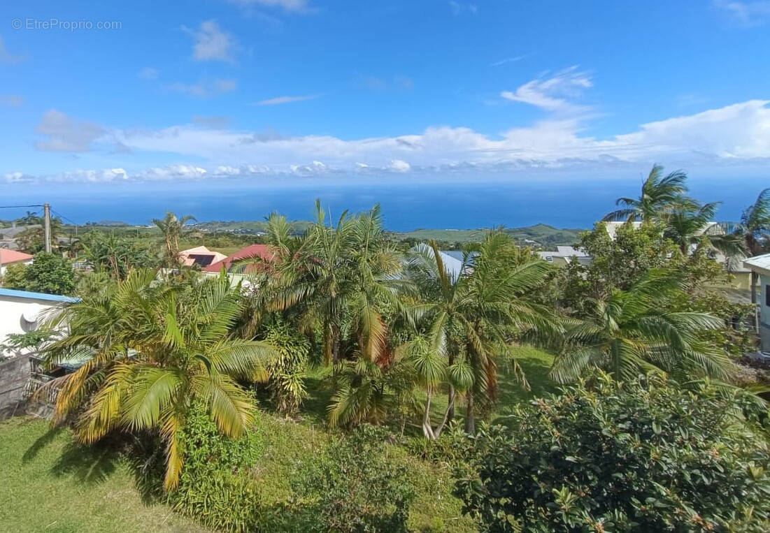 Terrain à PETITE-ILE