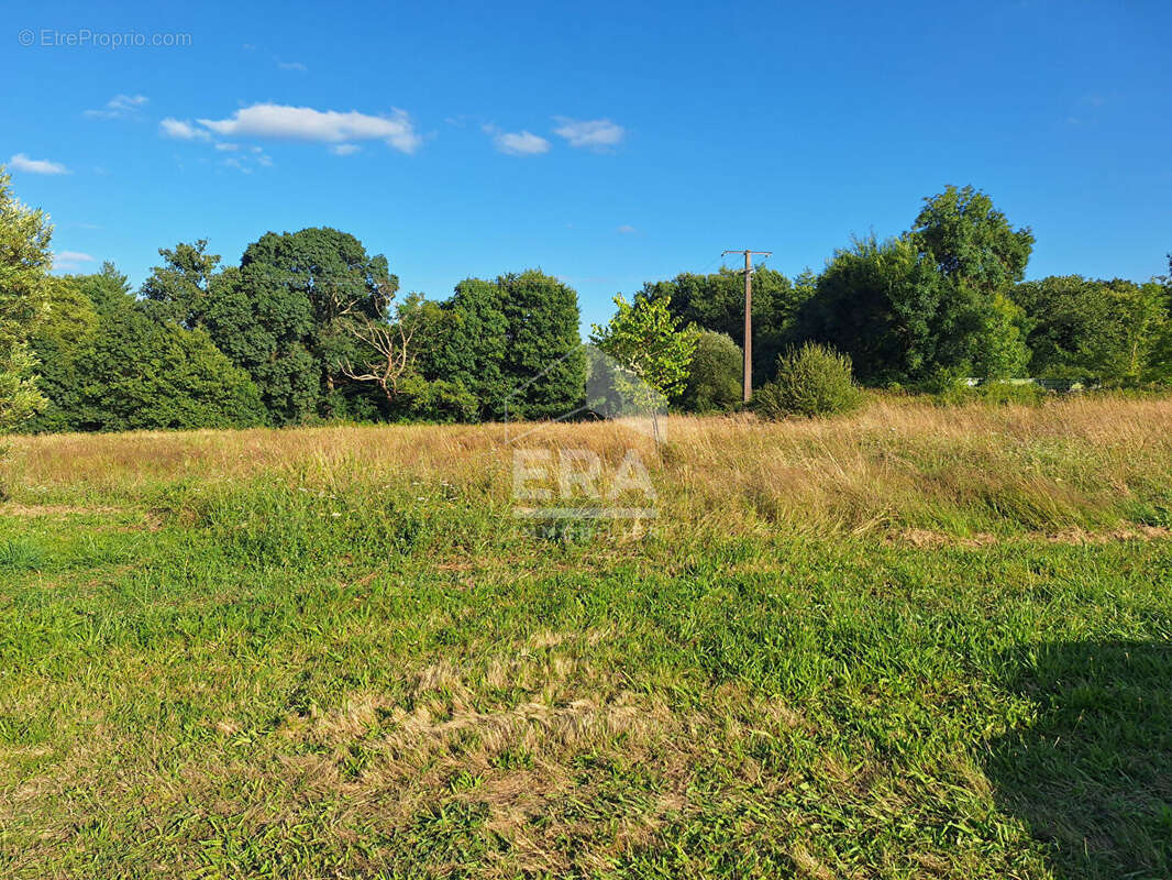 Maison à MONTPON-MENESTEROL