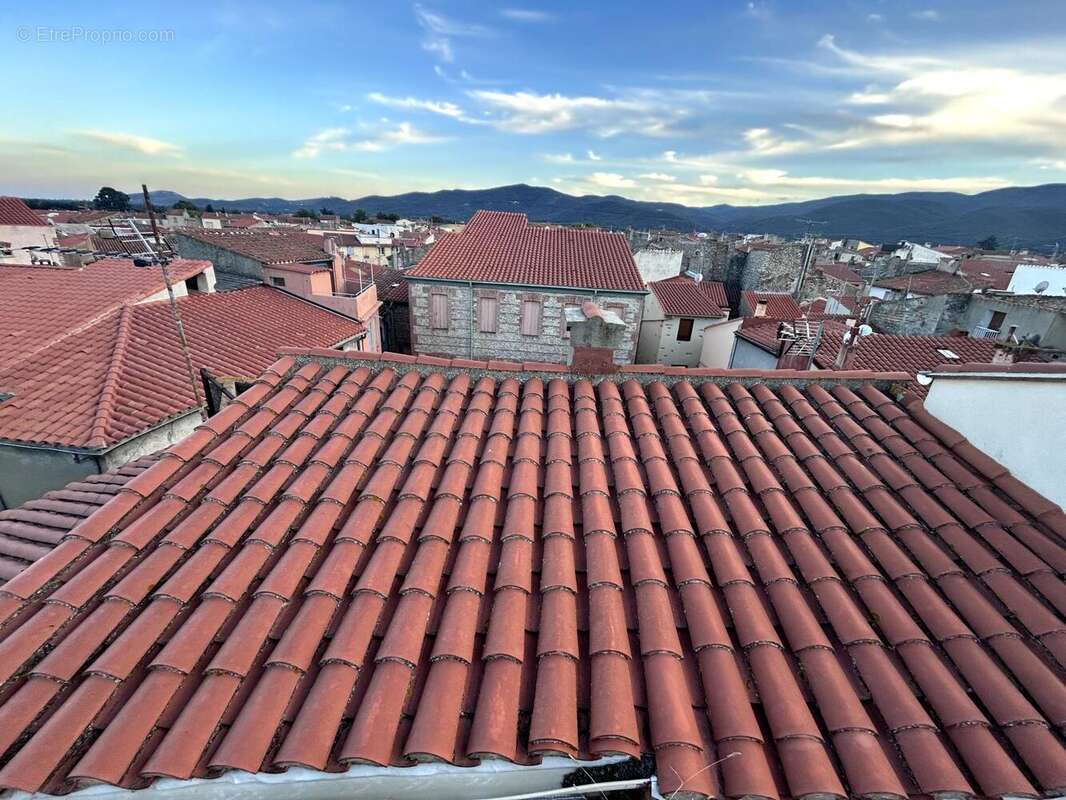 Photo 6 - Appartement à ILLE-SUR-TET