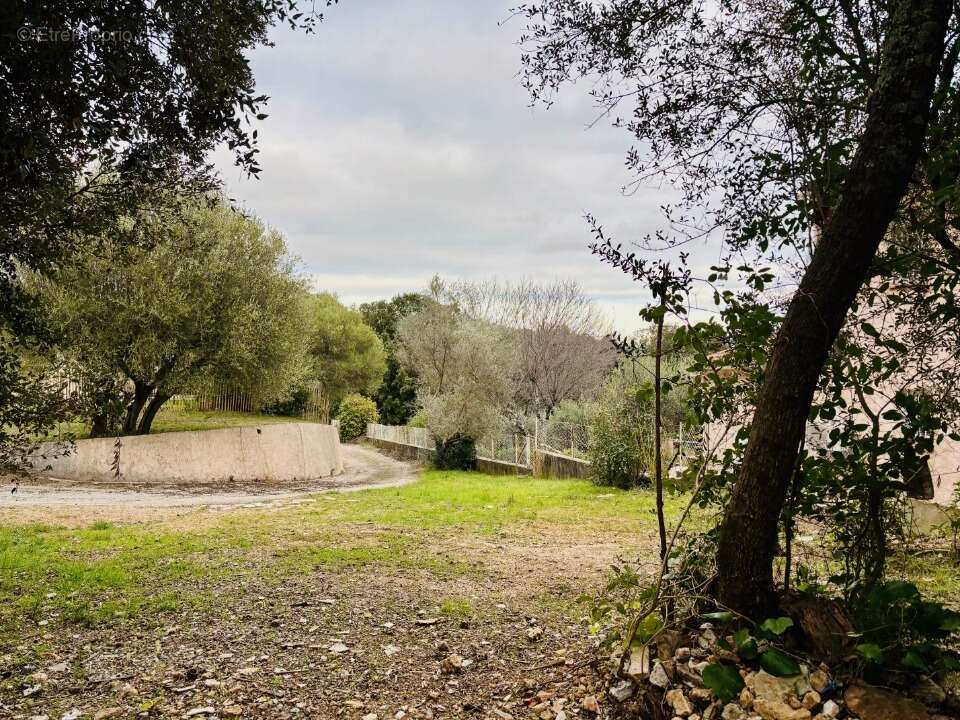 Terrain 700 m² à Pignans  - photo 4