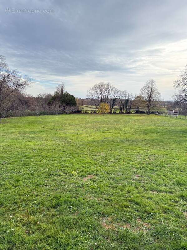Terrain à MEASNES