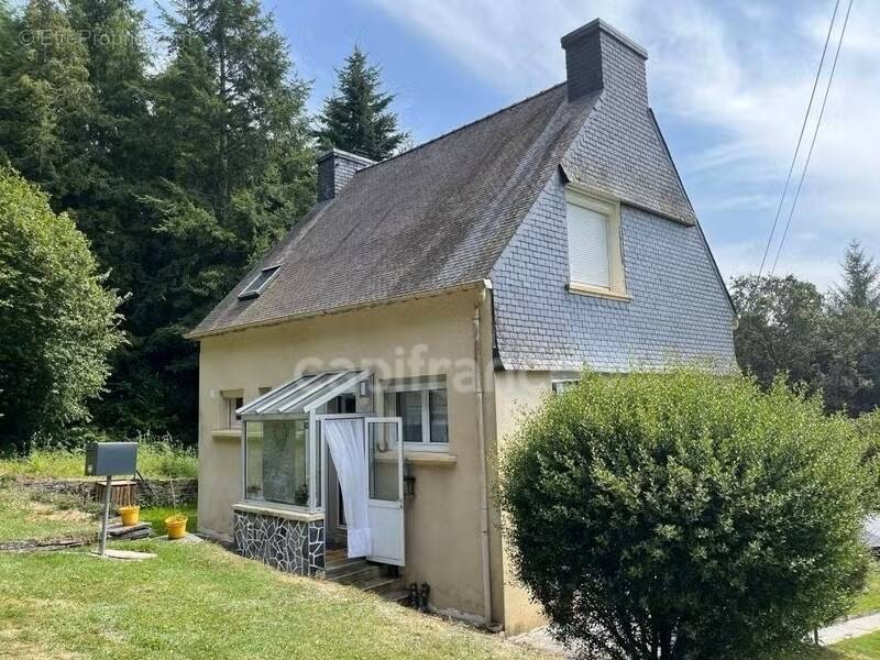 Maison à MOTREFF