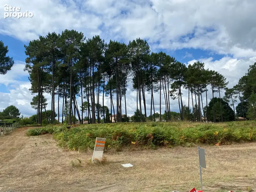 Terrain à RION-DES-LANDES