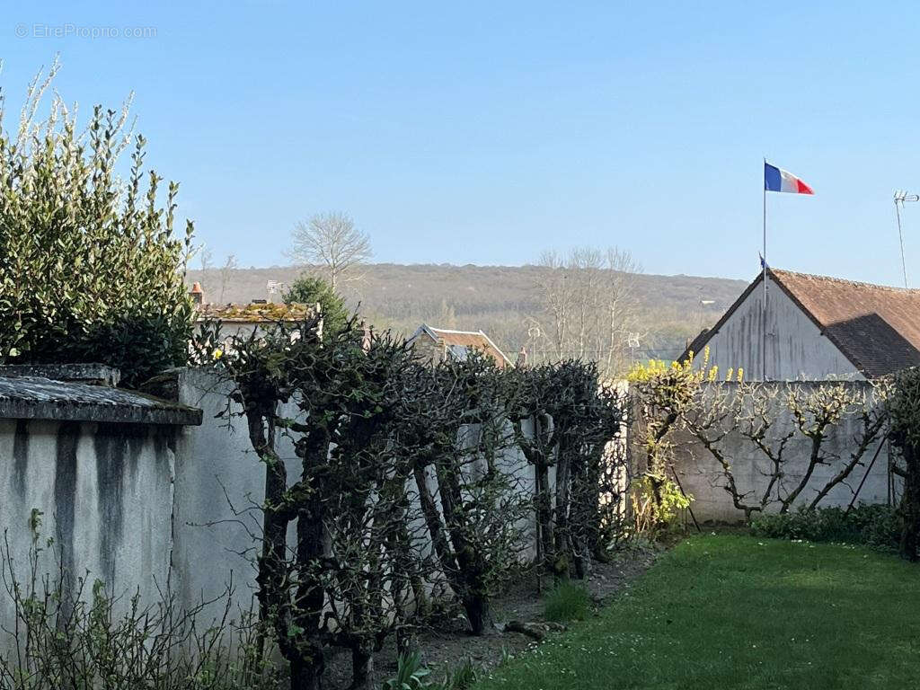 Belle propriété bourguignonne et son jardin de 1150 m2 à l'Est de Sens - photo 27