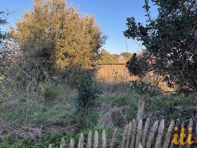 Maison à L&#039;ILE-D&#039;OLONNE