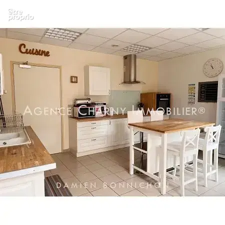 Maison 15 pièces 308 m² à vendre à Charny (89120) - photo 6