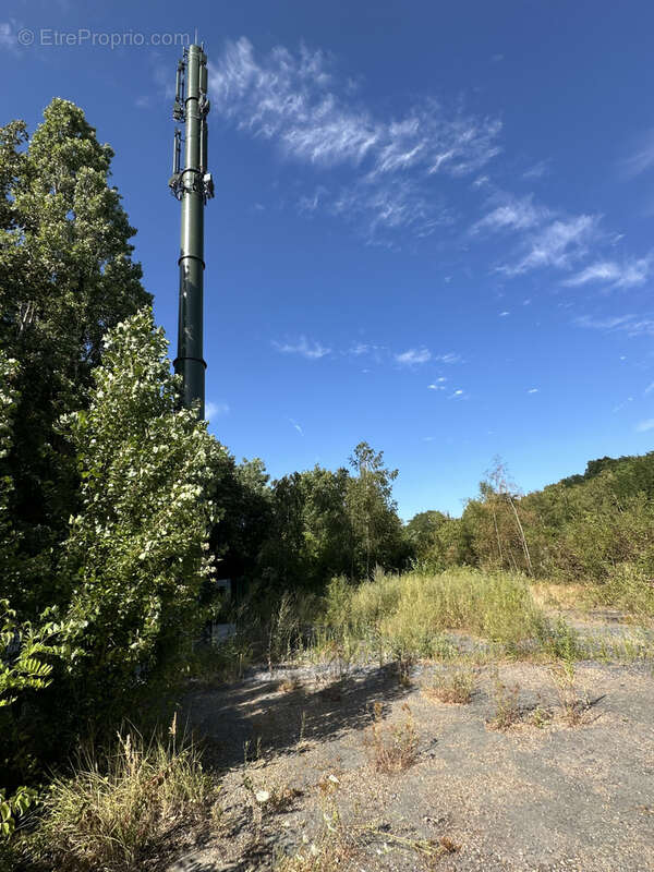 EXCLUSIVITE-COURRIERES-TERRAIN pour stockage avec revenus locatifs - photo 5