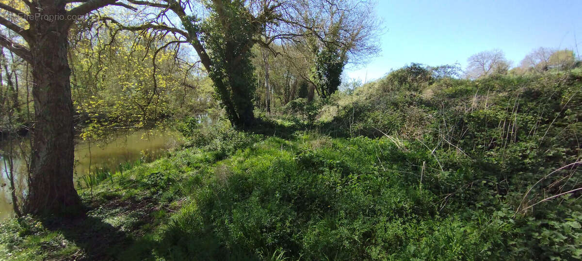 Terrain à MARTIZAY