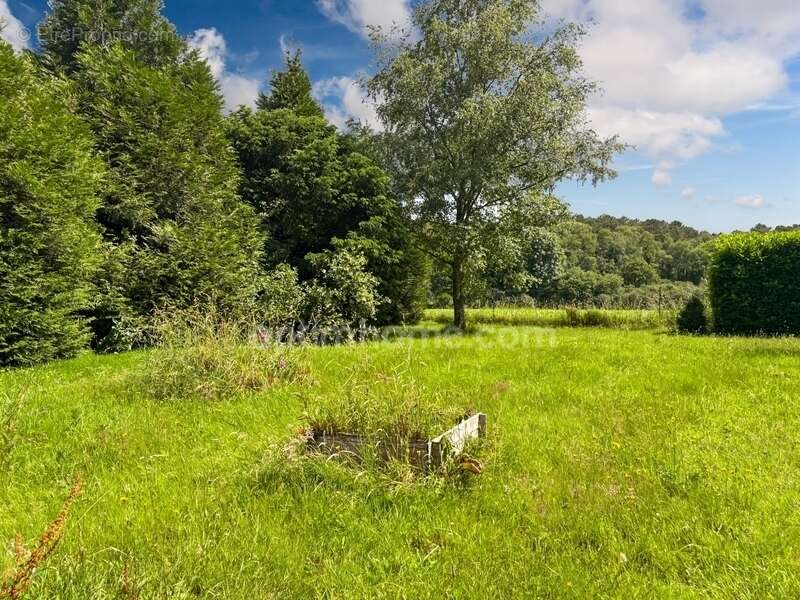 Authentique longère rénovée de 215 m2 – 5 chambres – Terrain arboré de 3000m2 au calme absolu - photo 24