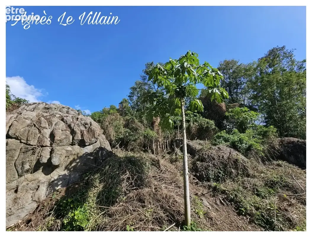 Terrain Vue Mer Grosses Roches de 1 041 m2 - photo 8