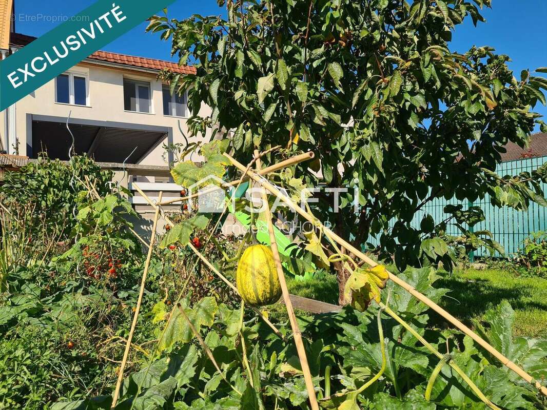 Photo 7 - Maison à SAVERNE