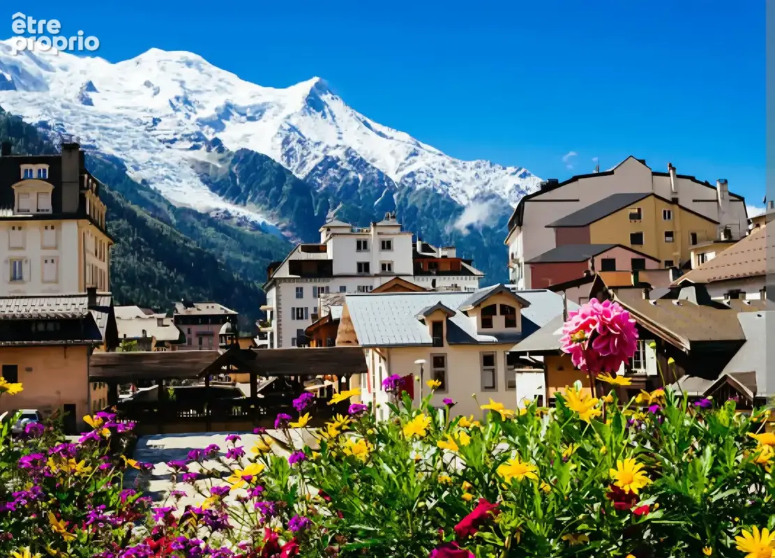 Commerce à CHAMONIX-MONT-BLANC