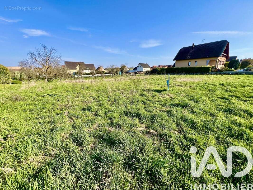 Photo 2 - Terrain à PFAFFENHEIM