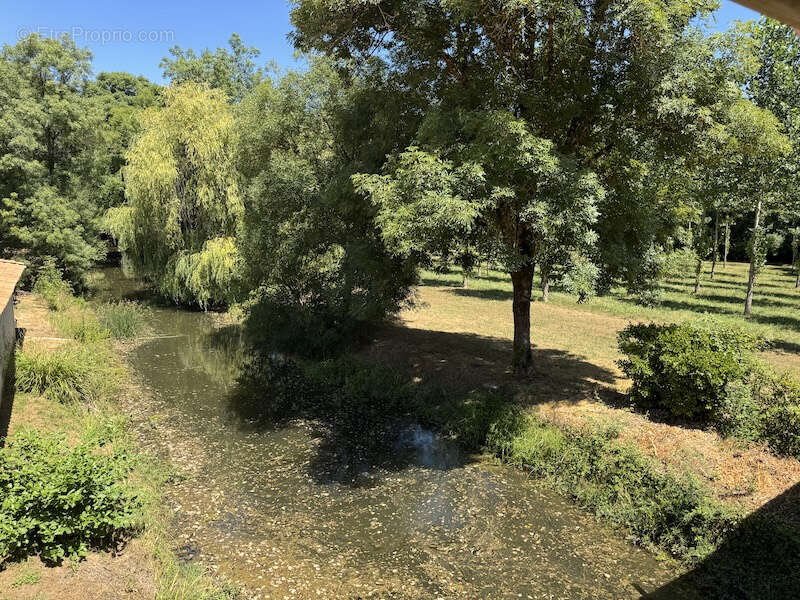 Magnifique moulin avec une piscine, des bois, verger, prairie et piscine couverte- pas des voisins proches - photo 13