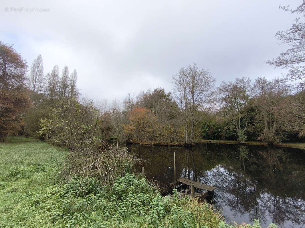 Terrain à PONTVALLAIN