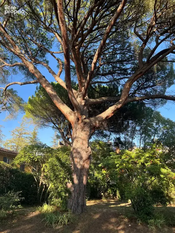 Les hameaux de la torse – 96 m² en rez-de-jardin avec terrasses - piscine - tout à pied - photo 18