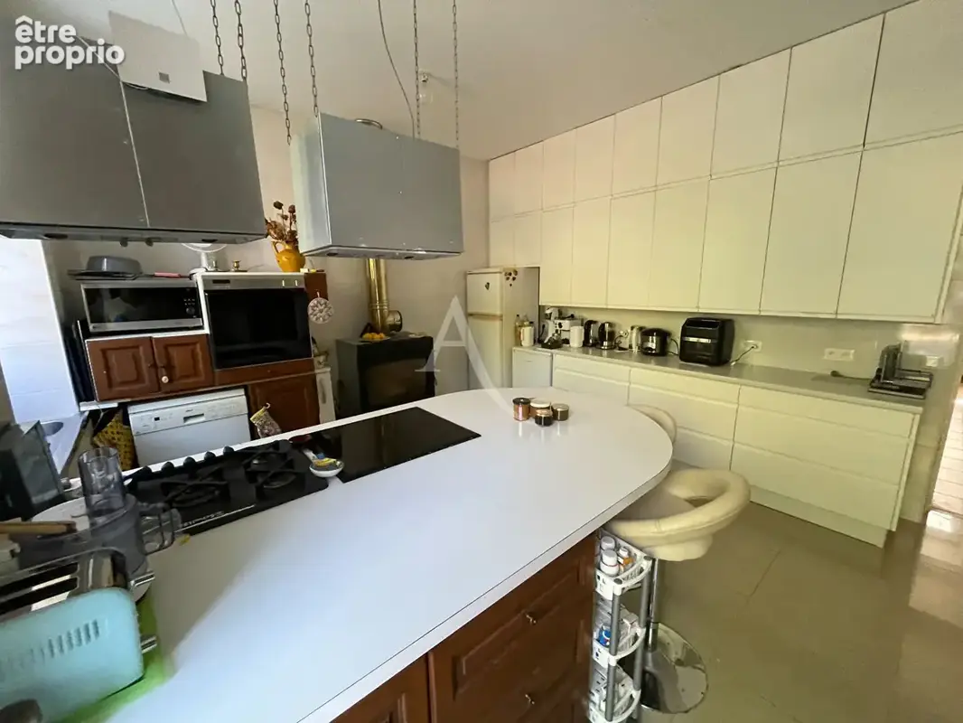 Maison  de Maître et appartement luxueux 12 pièce(s) 402.22 m2 - photo 12