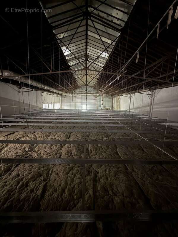 Autre à SAINT-DENIS