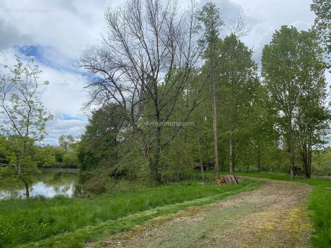 Terrain à LA CHARTRE-SUR-LE-LOIR